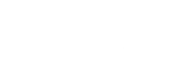 logo cyberschool